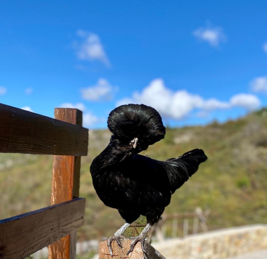 Country B&B Piani Del Mattino ポテンツァ エクステリア 写真